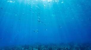 Antes da reunião da ONU sobre oceanos, cientistas publicam recomendações para preservação marítima